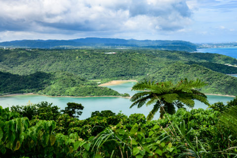 本部町 海と自然 フリー素材