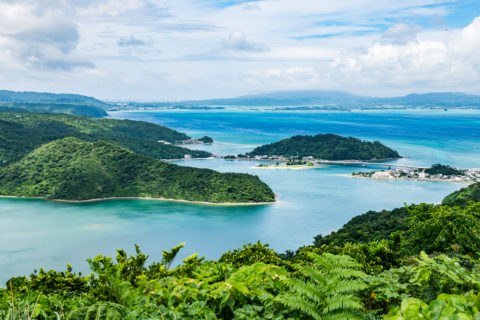 本部町 海と自然 フリー素材