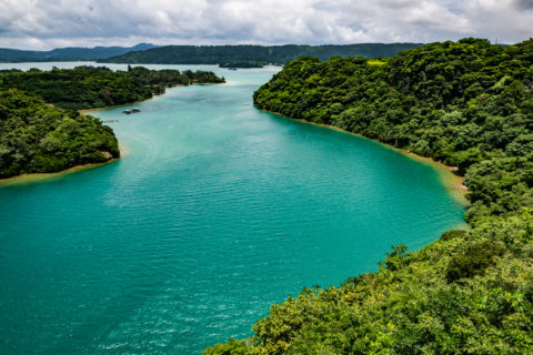 本部町 海と自然6
